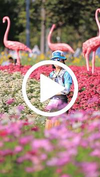 BIB:  <button type="button" onclick="openModal(27588508)" class="btn btn-primary btn-sm float-right" data-toggle="modal" data-target=".modal-high-quality">
                <i class="fa fa-download"></i> Download
                </button>